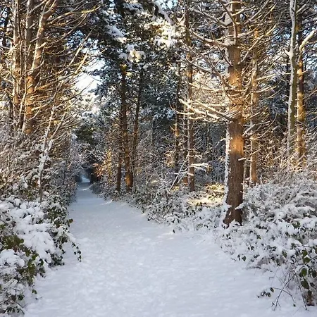 Maiken Feikes, Am Friedrichshain 2 Σπίτι διακοπών *
